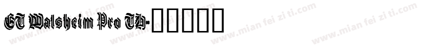 GT Walsheim Pro TH字体转换